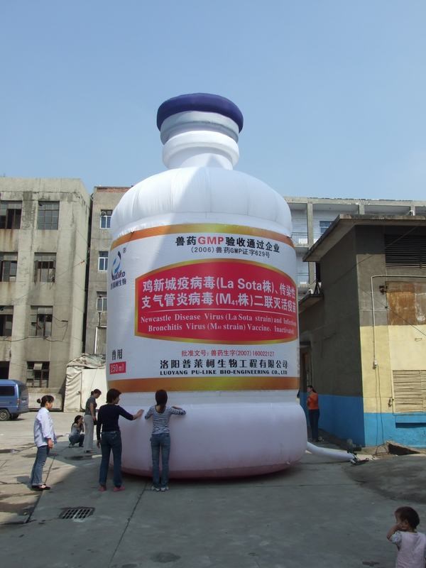 昌江广告宣传气模